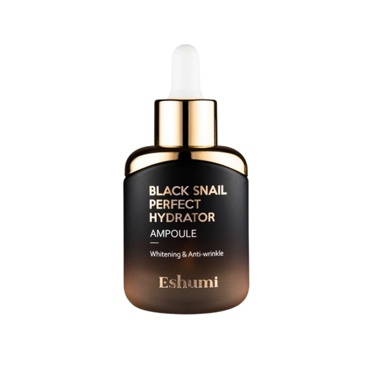 Black Snail Perfect Hydrator Ampoule | Eshumi